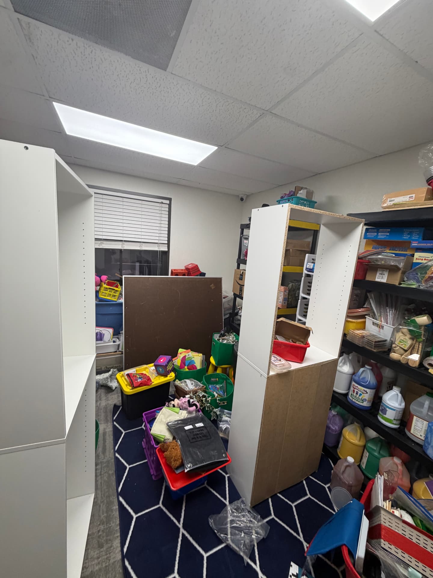 Playroom with toys and storage shelving